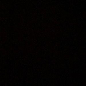 Meet your Posher, Bree